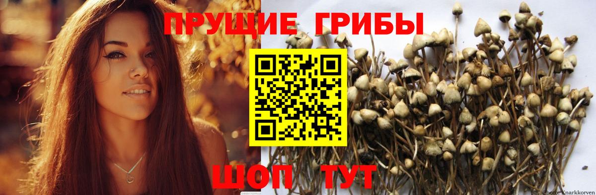 купить наркотик  Вход с VPN  Тольятти  Галлюциногенные грибы прущие грибы  Галлюциногенные грибы ЛСД 